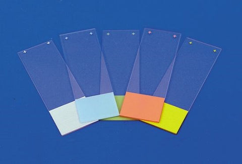 Superfrost Plus adhesion microscope slides, RNAse-free (EMS)