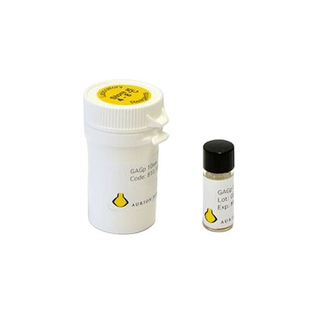 Aurion goat anti-guinea pig IgG (H&L), EM grade