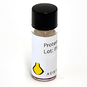 Aurion protein G, EM grade
