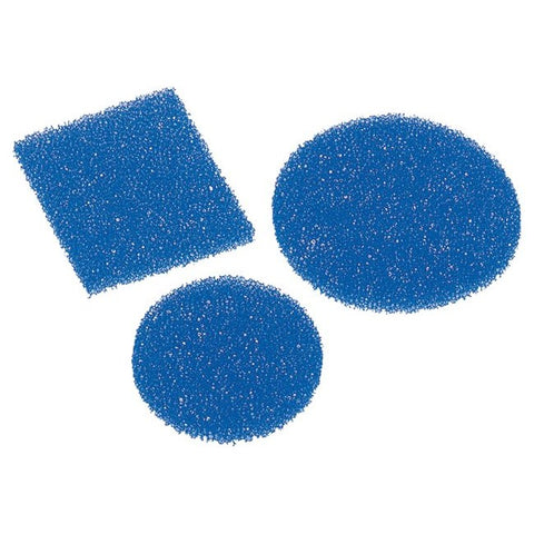 Biopsy foam pads