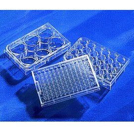Costar Culture cell cluster well plates
