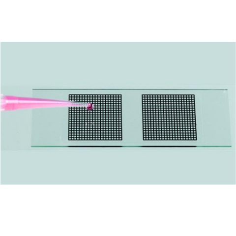 Microscope slides with adhesive grids, 20 x 20mm