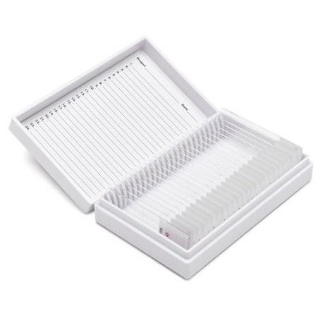 Tissue control microscope slides, helicobacter human
