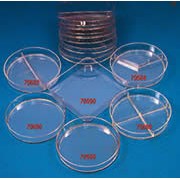 Petri dishes, PS