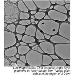 Graphene on lacey carbon film coated grids