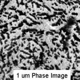 Phase imaging test specimen