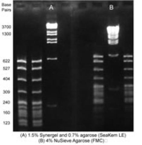 Synergel agarose additive