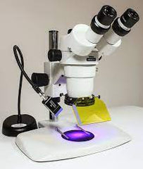 LM Fluorescence Accessories