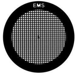 EMS carbon coated grids, square mesh