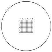 EMS eyepiece reticles, small indexed grid with scale