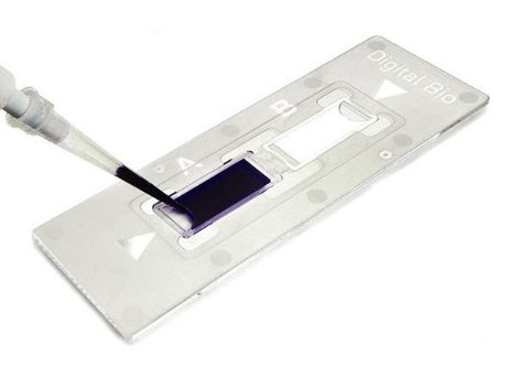 Fuchs Rosenthal counting chamber, C-Chip disposable