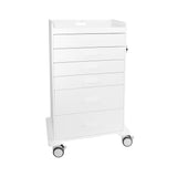 TrippNT 6-drawer locking procedure carts