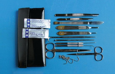 Anatomy dissecting kit 2