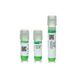 Thermal transfer Cryo-Tags labels, rolls (EMS)