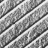 Carbon grating replicas