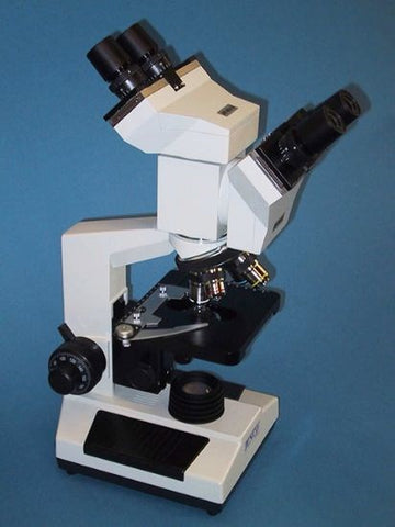 Upright compound microscope with dual view body