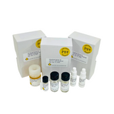 Aurion ultra small goat-anti-mouse IgG (H&L) starter kit