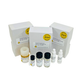Aurion ultra small goat-anti-rabbit IgG (H&L) starter kit
