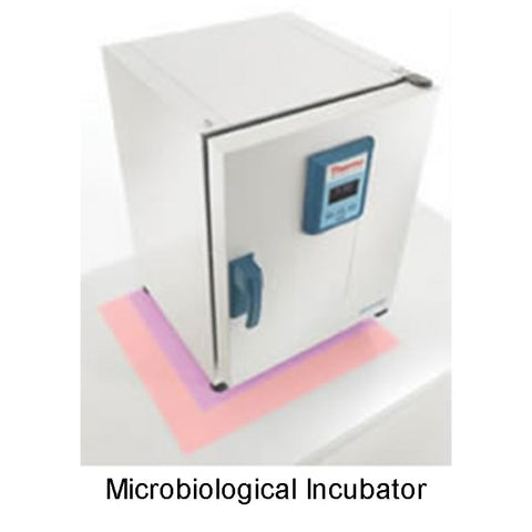 Microbiological Incubator, 120V