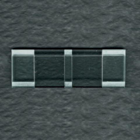 McMaster egg counting chamber