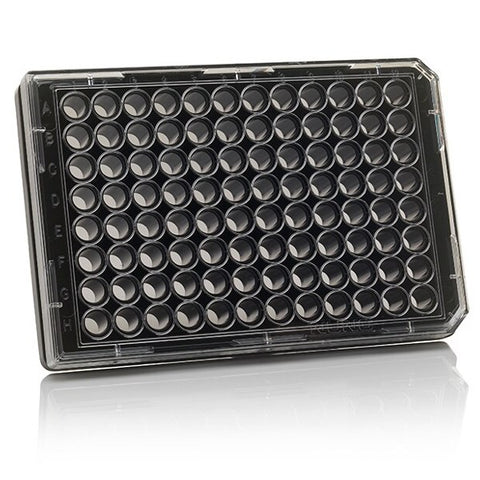 NUNC coverglass bottom plates for 96-well pates