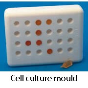 Culture cell mould