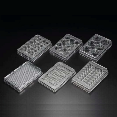 Nunclon MultiDish well plates, round