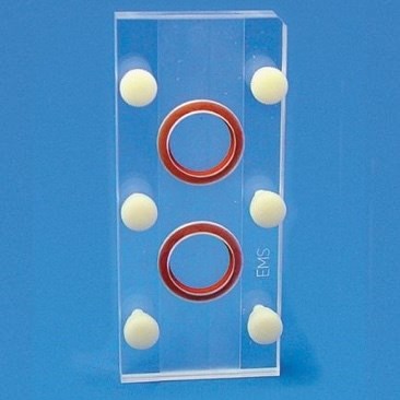 EMS Immunofluorescence slide, 2 chamber