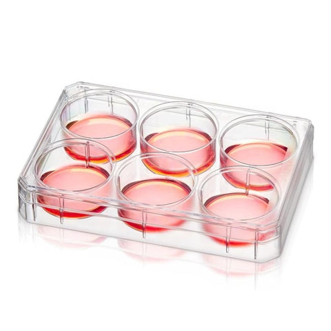 Nunclon MultiDish well plates, Poly-D-Lysine coated