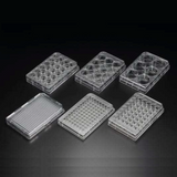 Nunclon MultiDish well plates, Poly-D-Lysine coated