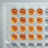 Well orienter film stickers, 96-well plates