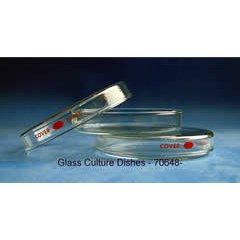 Glass petri dishes