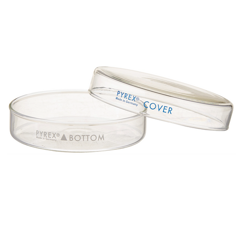 Pyrex glass Petri dishes