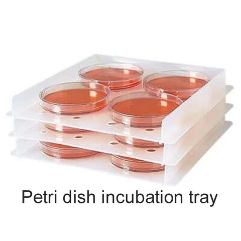 Petri dish incubation tray