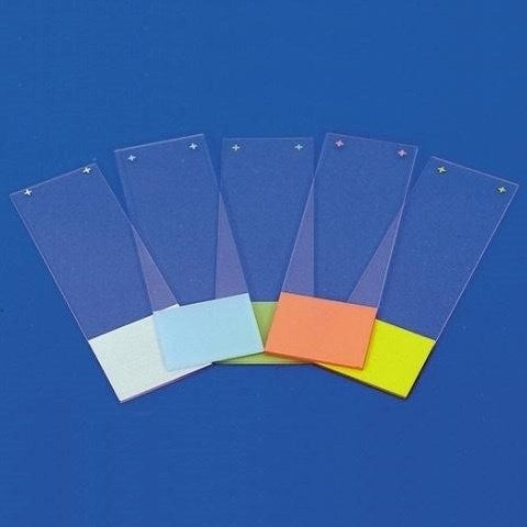 Superfrost Plus adhesion microscope slides, RNAse-free (EMS)