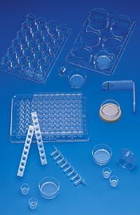 Nunc cell culture inserts, polycarbonate membranes - STERILE