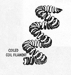 Coiled horizontal helix tungsten wire filaments