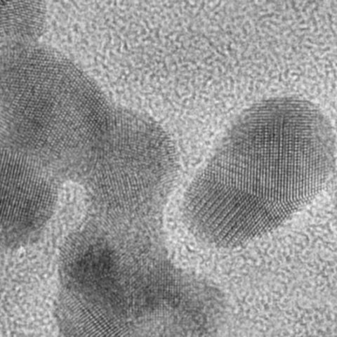 Gold microparticles on carbon film