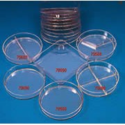 Petri dishes, PS, disposable