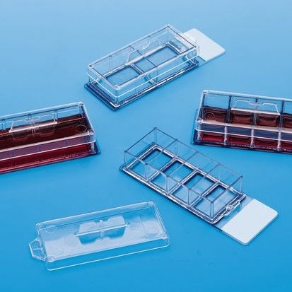 Lab-Tek system chamber slide flaskettes, glass