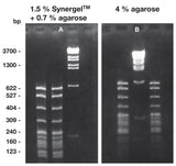 Synergel agarose additive