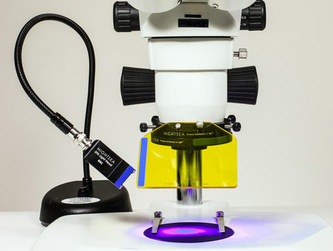 NIGHTSEA fluorescence viewing system adapters