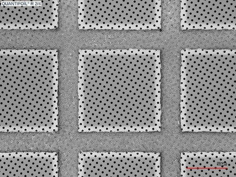 Quantifoil R 2/4 holey carbon film coated grids