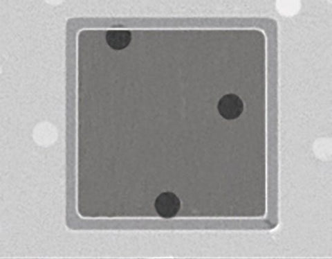 Quantifoil R 5/20 holey carbon film coated grids