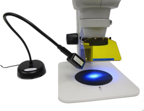 NIGHTSEA stereo microscope fluorescence viewing systems