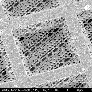 Quantifoil R 10/10 holey carbon film coated grids
